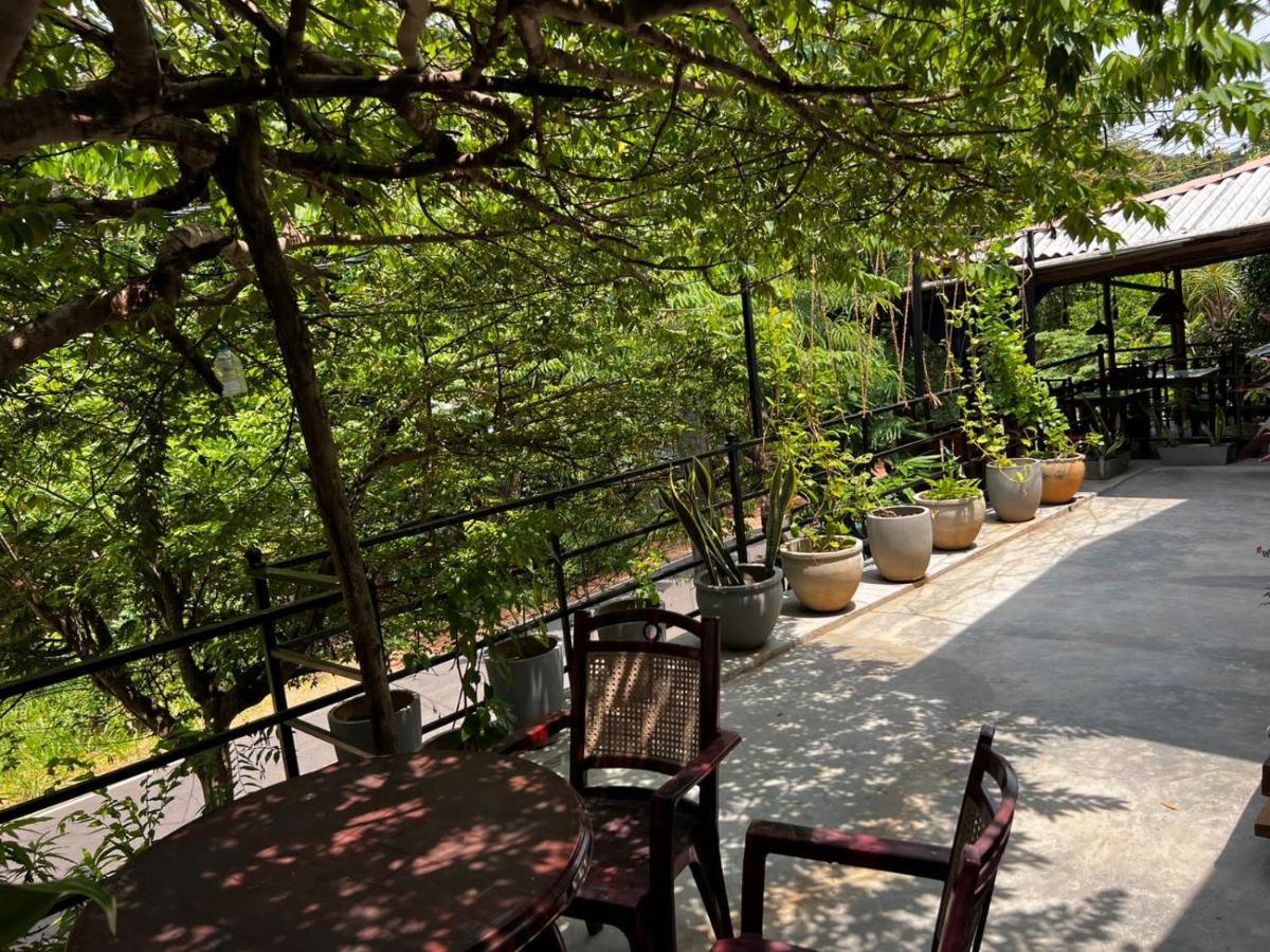 The Traveller'S Hostel & Private Rooms Сигирия Екстериор снимка